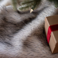 Arctic Fox - Black Tipped