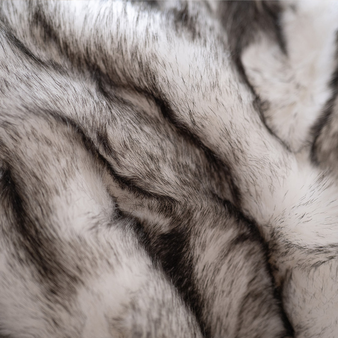 Arctic Fox - Black Tipped