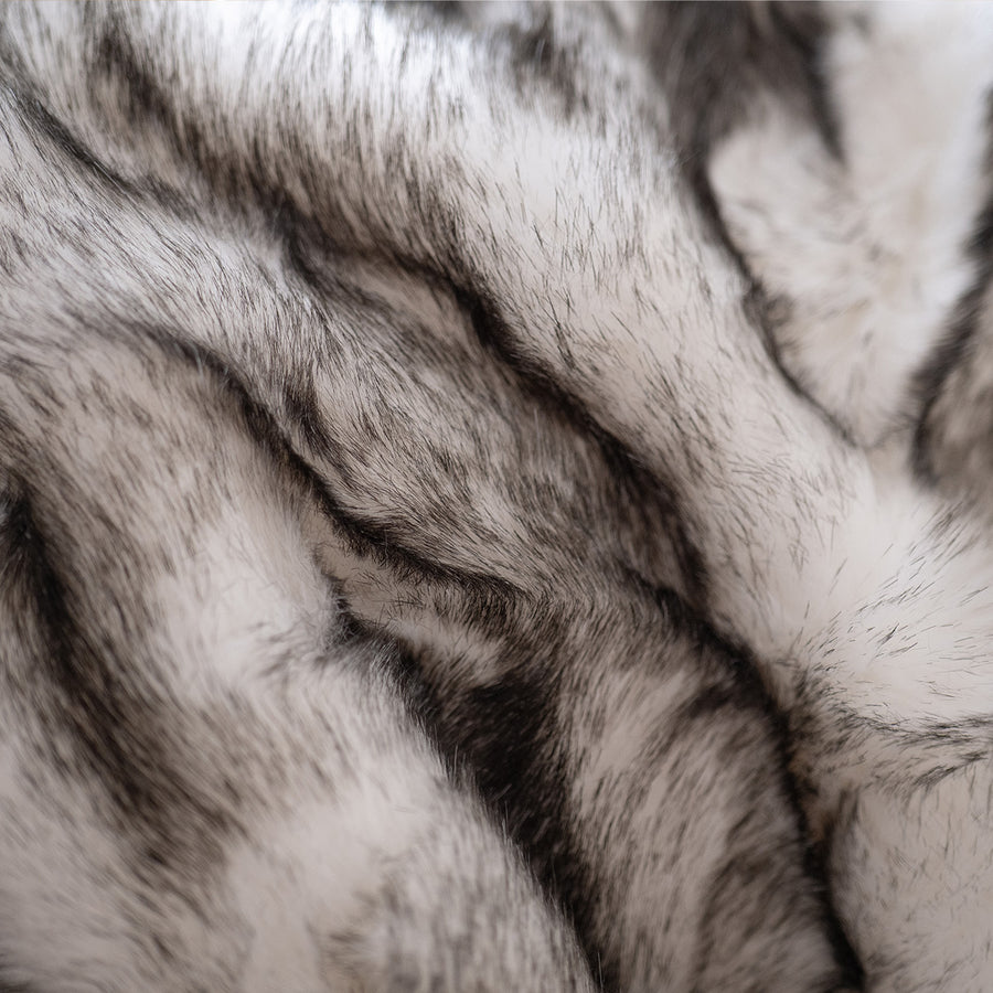 Arctic Fox - Black Tipped