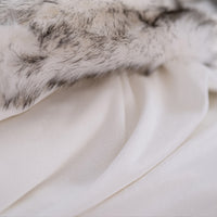 Arctic Fox - Black Tipped