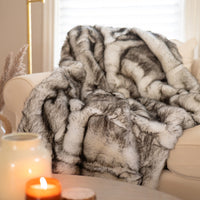 Arctic Fox - Black Tipped